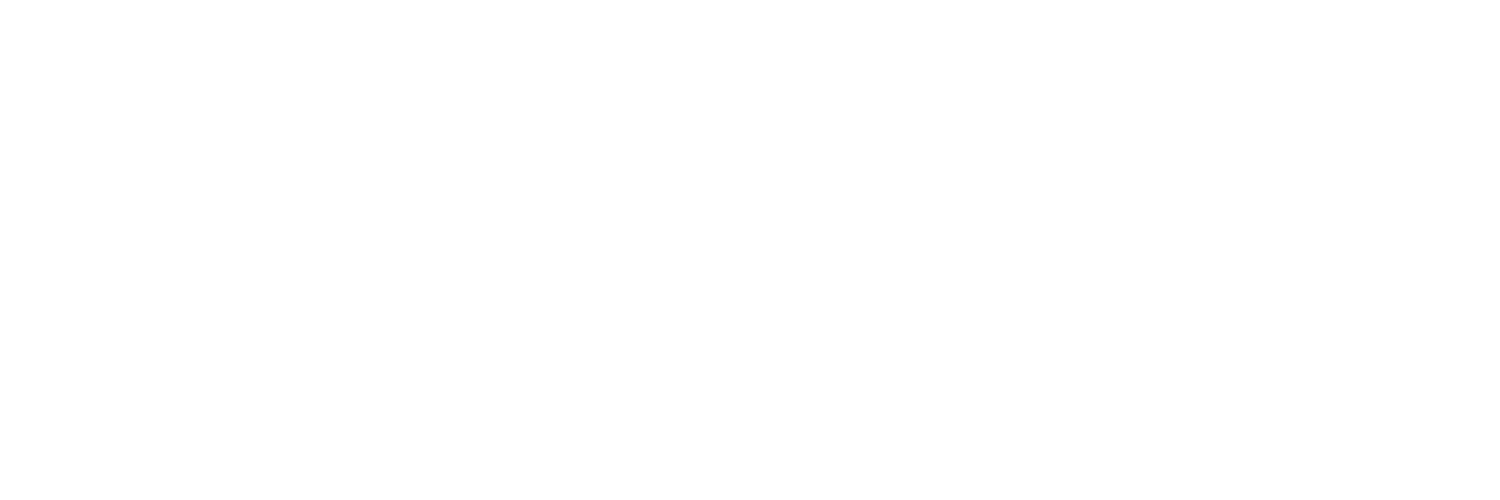 The Digital Freelancer